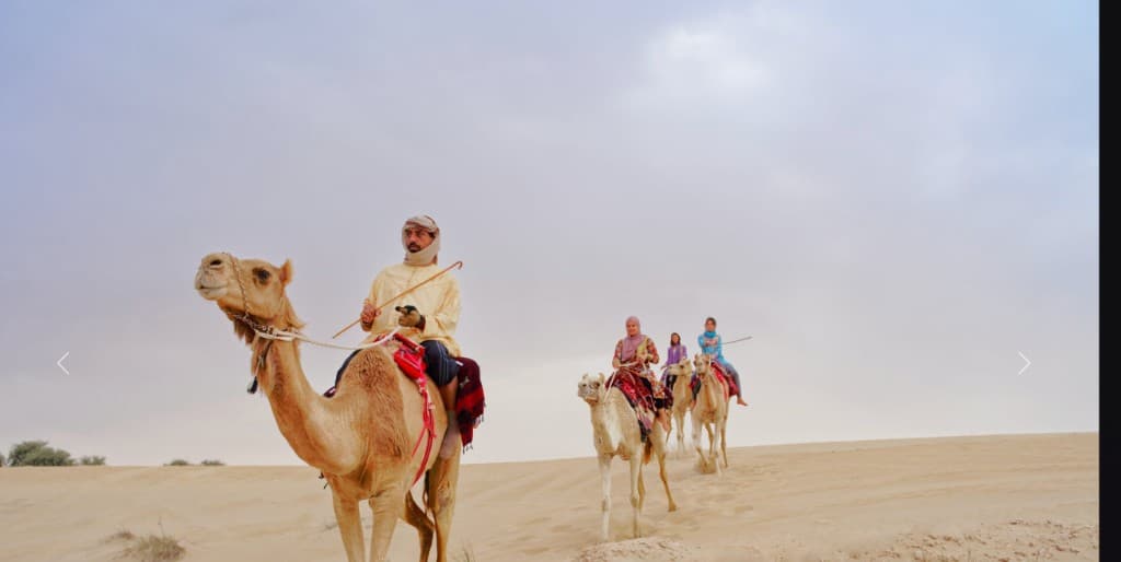 Camel safari through the Dubai desert